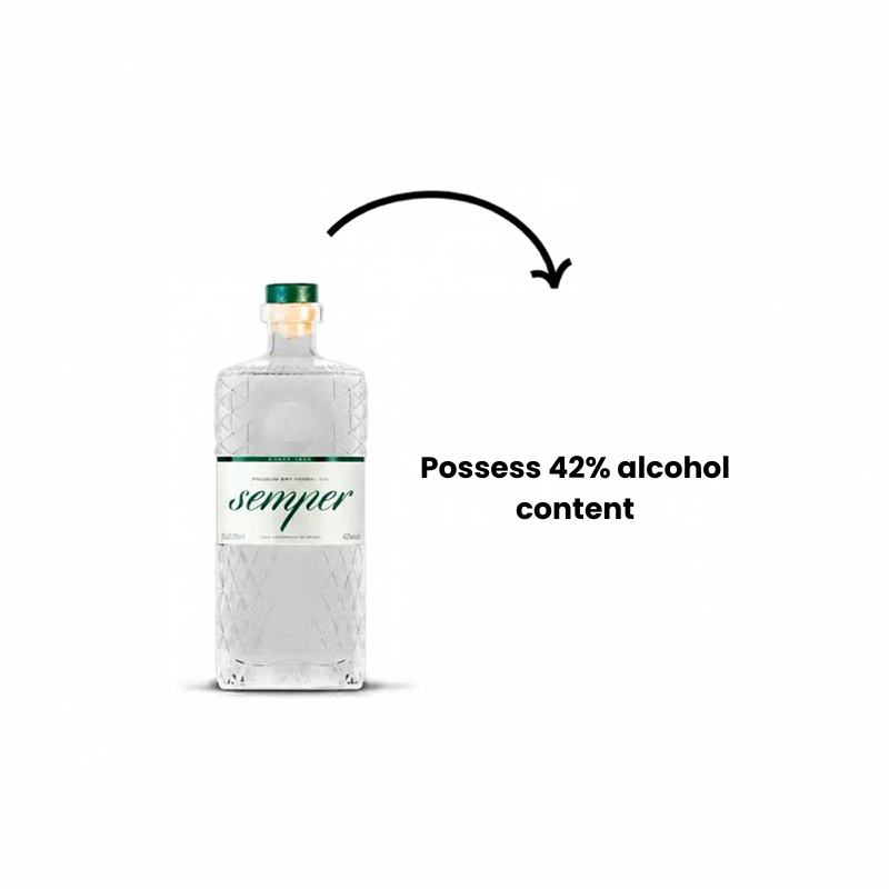 SEMPER artisanal gin by Brasilberg in 750ml bottle, featuring elegant label and clear glass bottle showcasing the premium beverage.