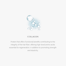 Honma Tokyo Coffee Premium Collagen Capillary Regenerating Gel, 1L | 33.8 fl.oz.