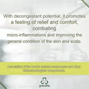 Grandha Fito Capillus Fine Herbal Shampoo for Scalp Wounds 1000ml/33.8 fl.oz.