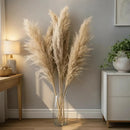 Kit 10 Capim Dos Pampas Natural Grande Dourado Decor Boho Casa Duque