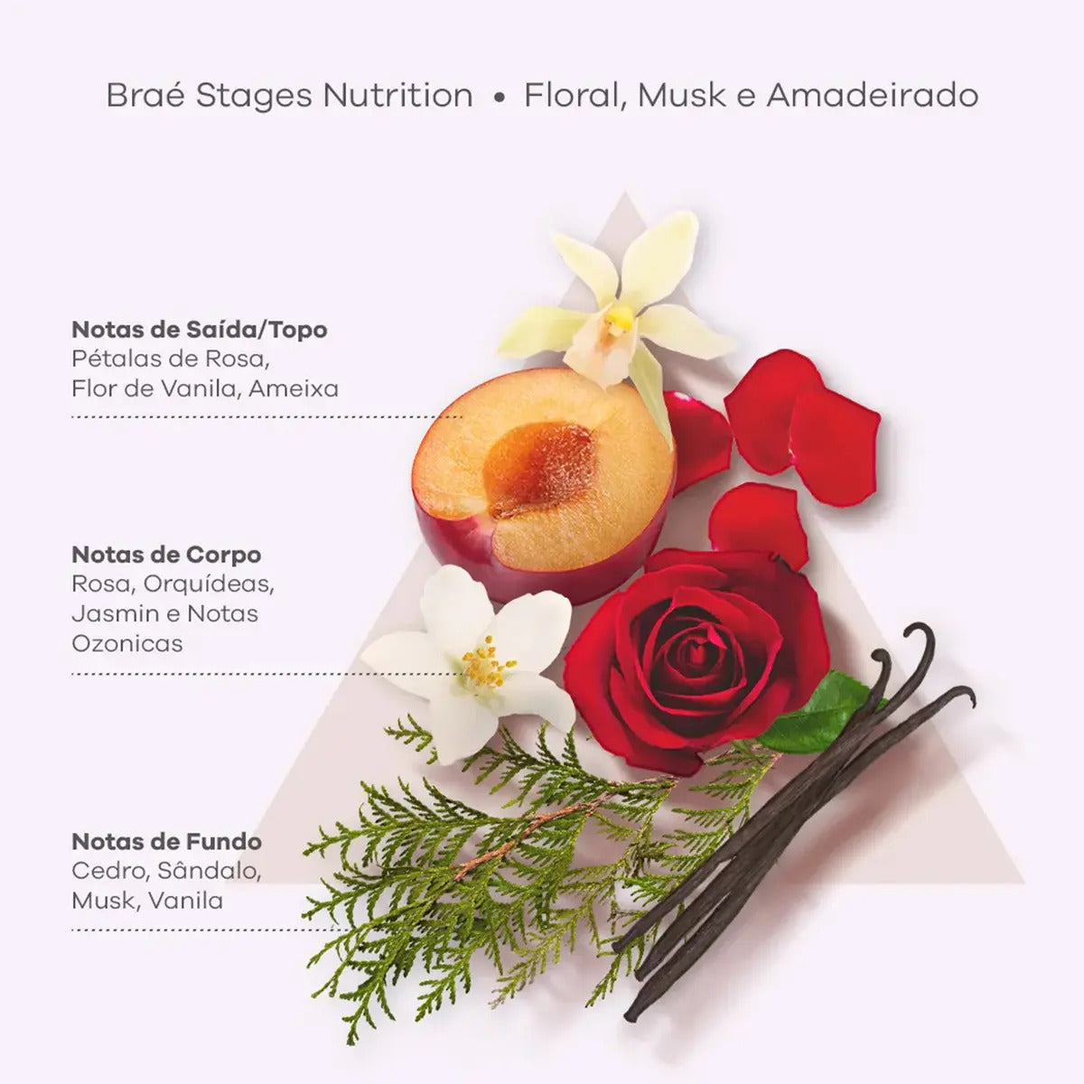 Kit Brae Para Nutrição Linha Braé Stages Nutrition includes three items, featuring colorful packaging and product details.