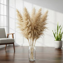 Kit 10 Capim Dos Pampas Natural Grande Dourado Decor Boho Casa Duque