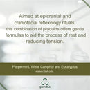 Grandha Fito Capillus Fine Herbal Shampoo for Scalp Wounds 1000ml/33.8 fl.oz.