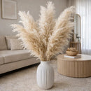 Kit 10 Capim Dos Pampas Natural Grande Dourado Decor Boho Casa Duque
