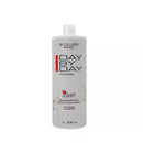 Kit Day By Day Para Todos os Tipos de Cabelos Soller Brasil 1L + 920g
