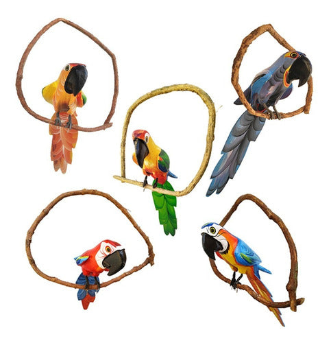 Bird Kit 5 Units (Handmade Wooden Macaws) 50cm - BuyBrazil