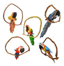 Bird Kit 5 Units (Handmade Wooden Macaws) 50cm - BuyBrazil