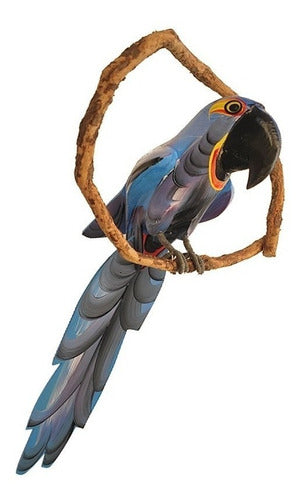 Bird Kit 5 Units (Handmade Wooden Macaws) 50cm - BuyBrazil