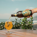 Praya Beer Classic Recipe Golden Ale 600ml/20.28fl.oz. - BuyBrazil