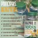 Ora Pro Nóbis Turmeric and Ginger Forma Suprema 3 Bottles 630mg 3x120 Tablets - BuyBrazil