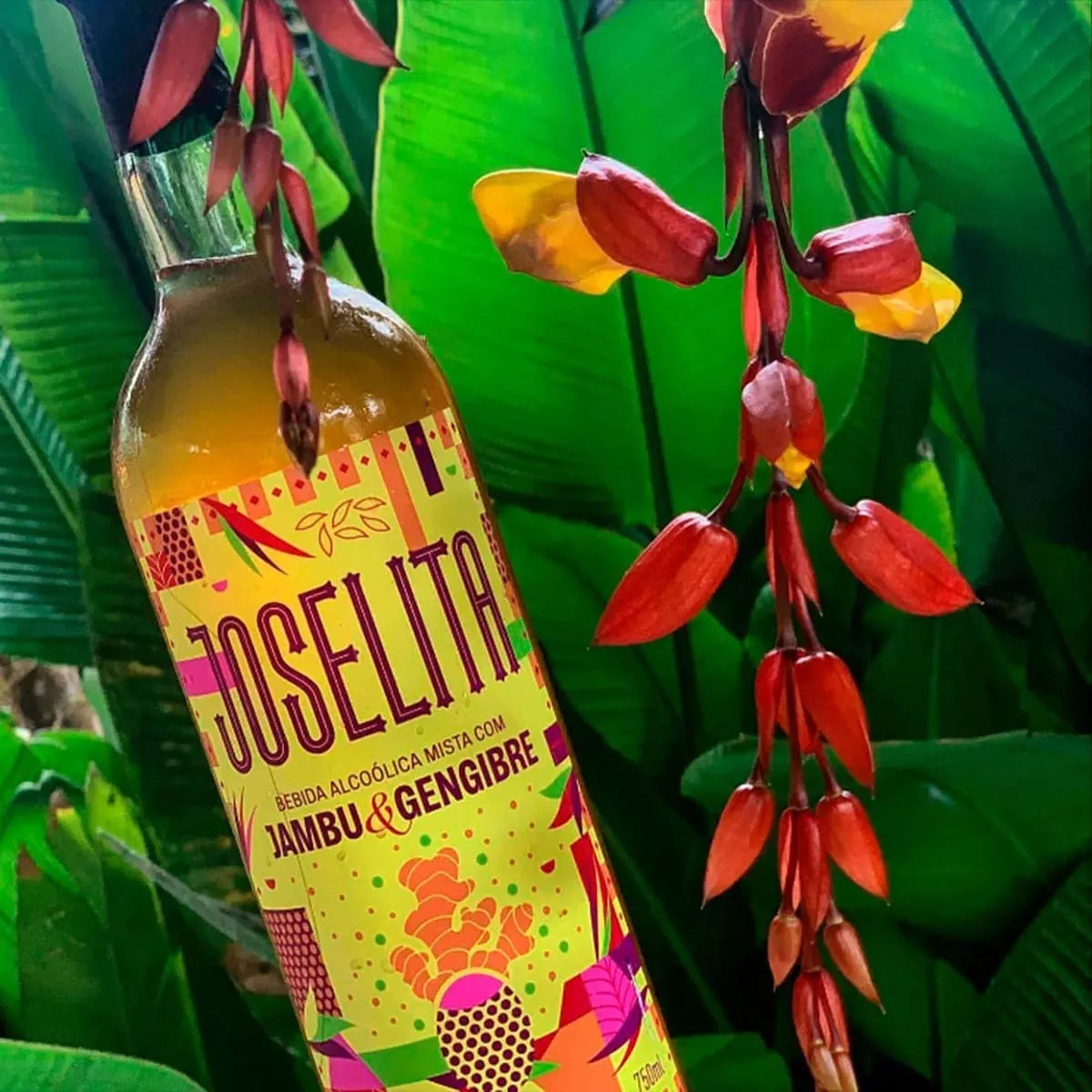 Joselita Cachaça with Jambu and Ginger 750ml/ 20.71 fl.oz. - BuyBrazil