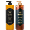 Kits Kerasys Royal Própolis Shampoo + Tratamento No total 1L Energia Original + Brilho E Adereço Verde .