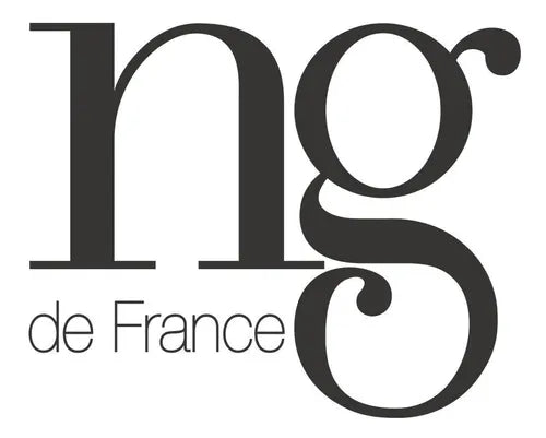NG de France Spray Thermo Repair 200mL: Ultimate Heat Protection and Hair Nourishment - BuyBrazil