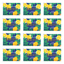 Phebo Sicilian Lemon Soap Bar 100g Kit 12 Units - BuyBrazil