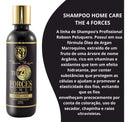 Robson Peluquero 4 Forces Toner Home Care Tinting Treatment Kit 2x300ml - BuyBrazil