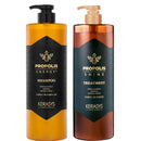 Kits Kerasys Royal Própolis Shampoo + Tratamento No total 1L Energia Original + Brilho E Adereço Verde .
