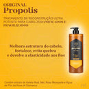Kits Kerasys Royal Própolis Shampoo + Tratamento No total 1L Energia Original + Brilho E Adereço Verde .