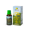 Apis Brasil Green Propolis Extract 21% in a 30ml bottle, featuring natural green propolis for health and wellness.