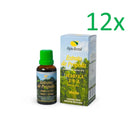 Apis Brasil Green Propolis Extract 21% in a 30ml bottle, featuring natural green propolis liquid from Apis Brasil.