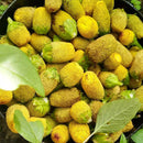 Jambu Concentrate “Tremidão” Sinimbu 5ml/0.169 flo.oz. - BuyBrazil